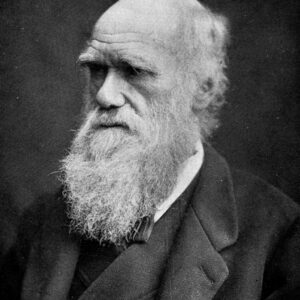 Darwin était-il de droite ?