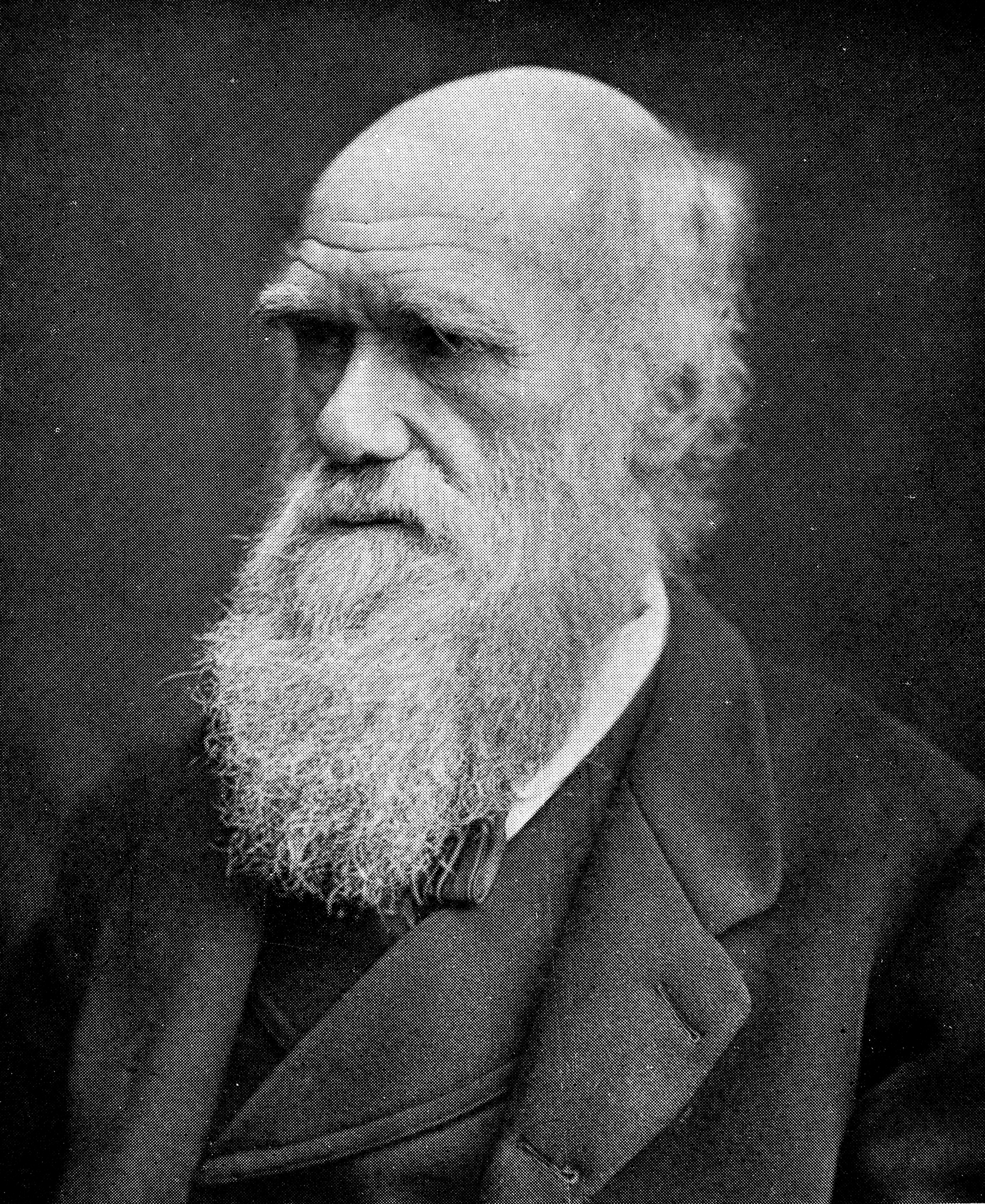 Darwin était-il de droite ?