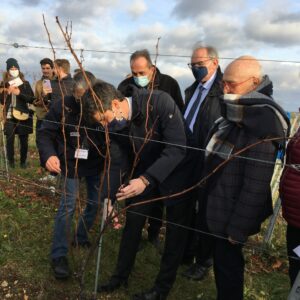 Le journal du vendredi 19 novembre 2021