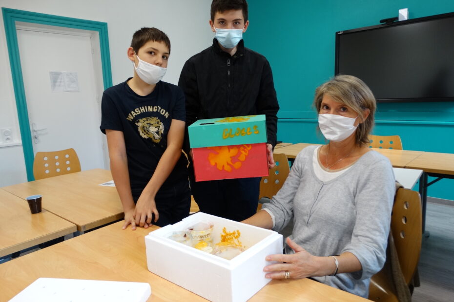 étude-du-blob-au-centre-scolaire-notre-dame-villefranche-sur-saone