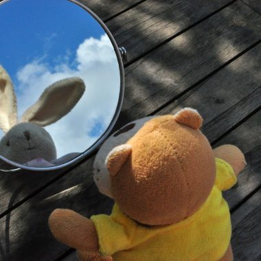 "Through the looking glass - A travers le miroir" by fred_v is licensed under CC BY 2.0.