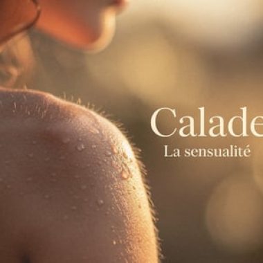 6762886a-ad5c-4aad-9835-9bbc55c26925