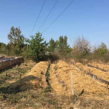 PERMACULTURE2