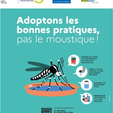 Post_Facebook_960x1200_Moustique_tigre